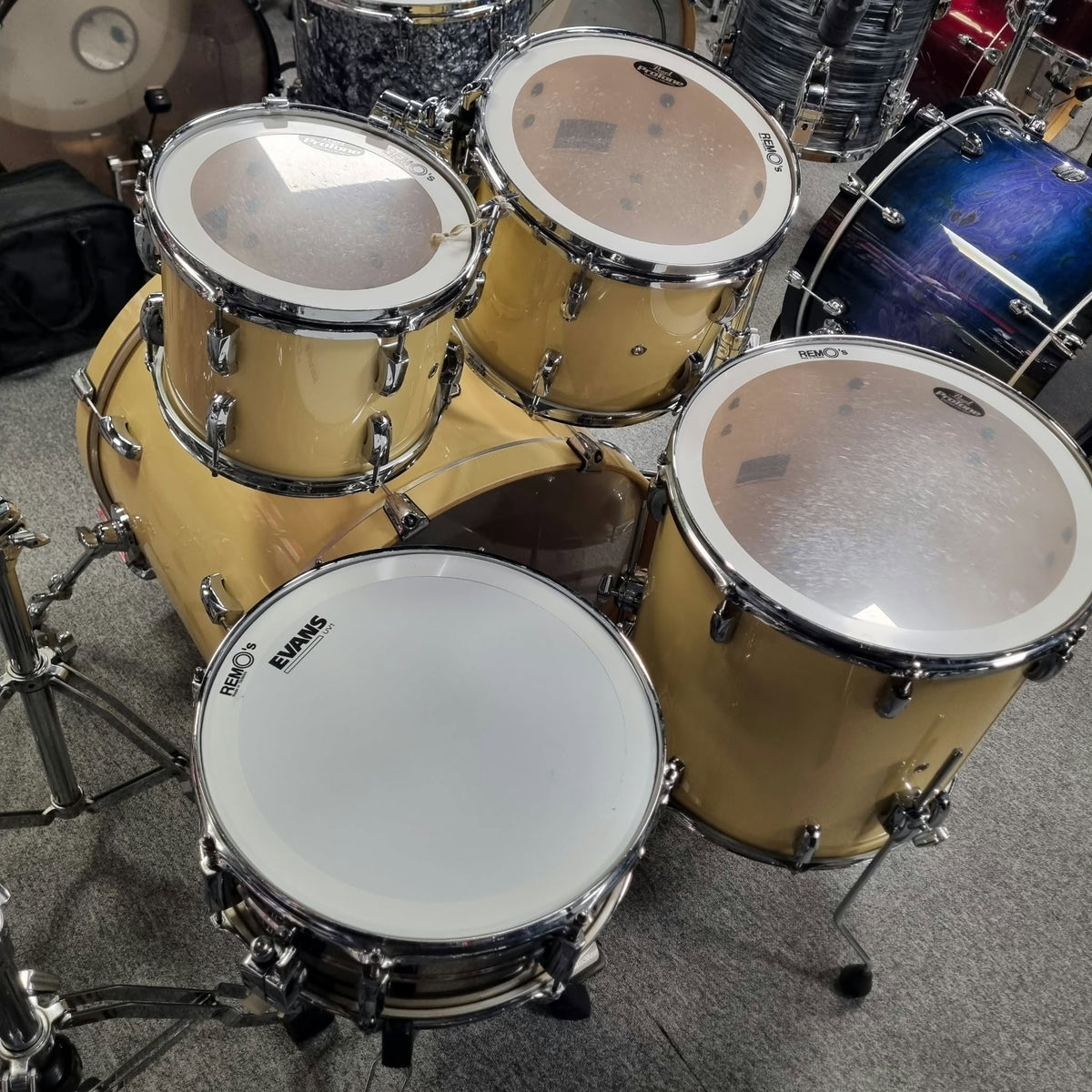 PEARL VISION BIRCH